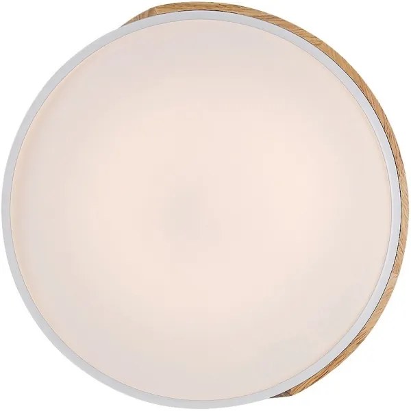 Rabalux 3527 - Plafoniera LED MAPLE LED/24W/230V bianco