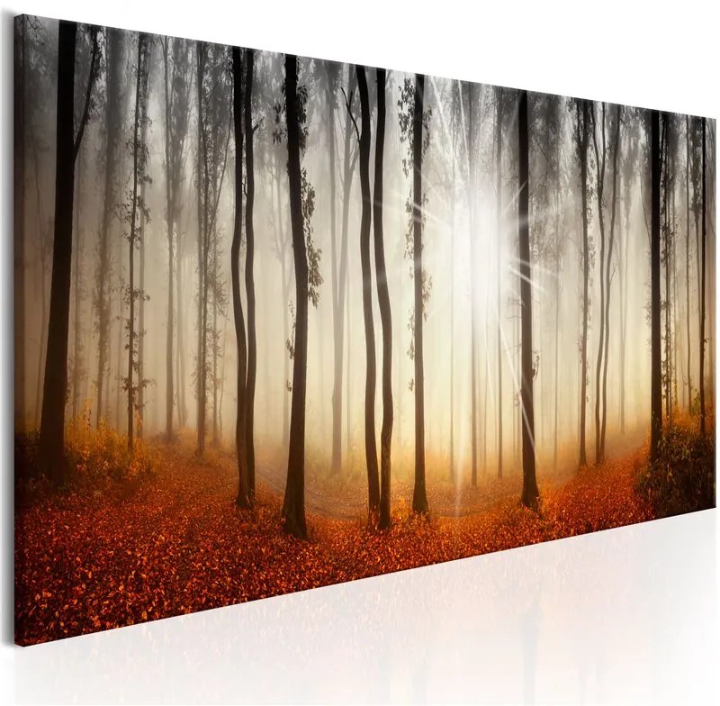 Quadro Autumnal Fog  Colore Arancione, Dimensioni e Misure 135x45