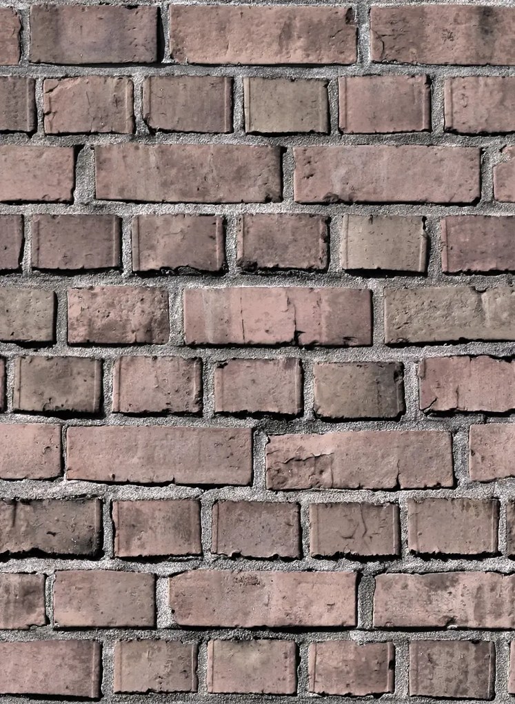 Rebel Walls Carta da parati Bricks - Clay