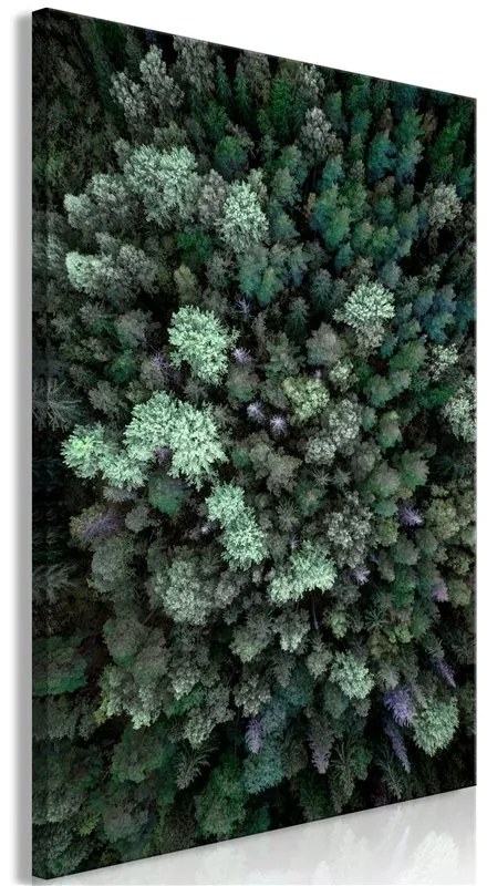 Quadro Flying Over Forest (1 Part) Vertical  Colore Verde, Dimensioni e Misure 40x60