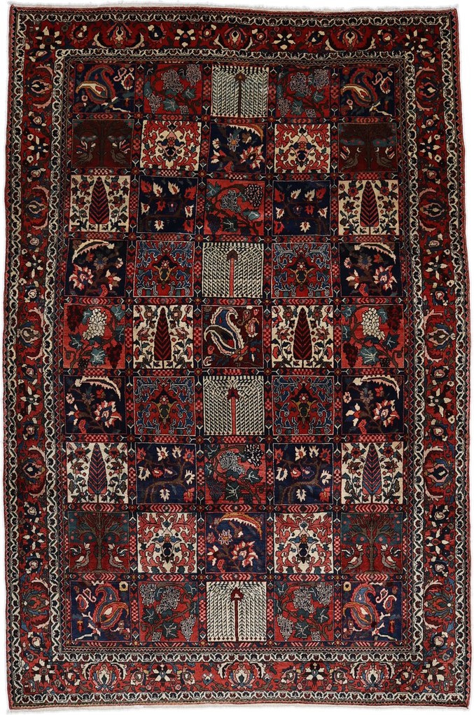 Bakhtiar Tappeto 210 x 310 (Iran) Annodato A Mano
