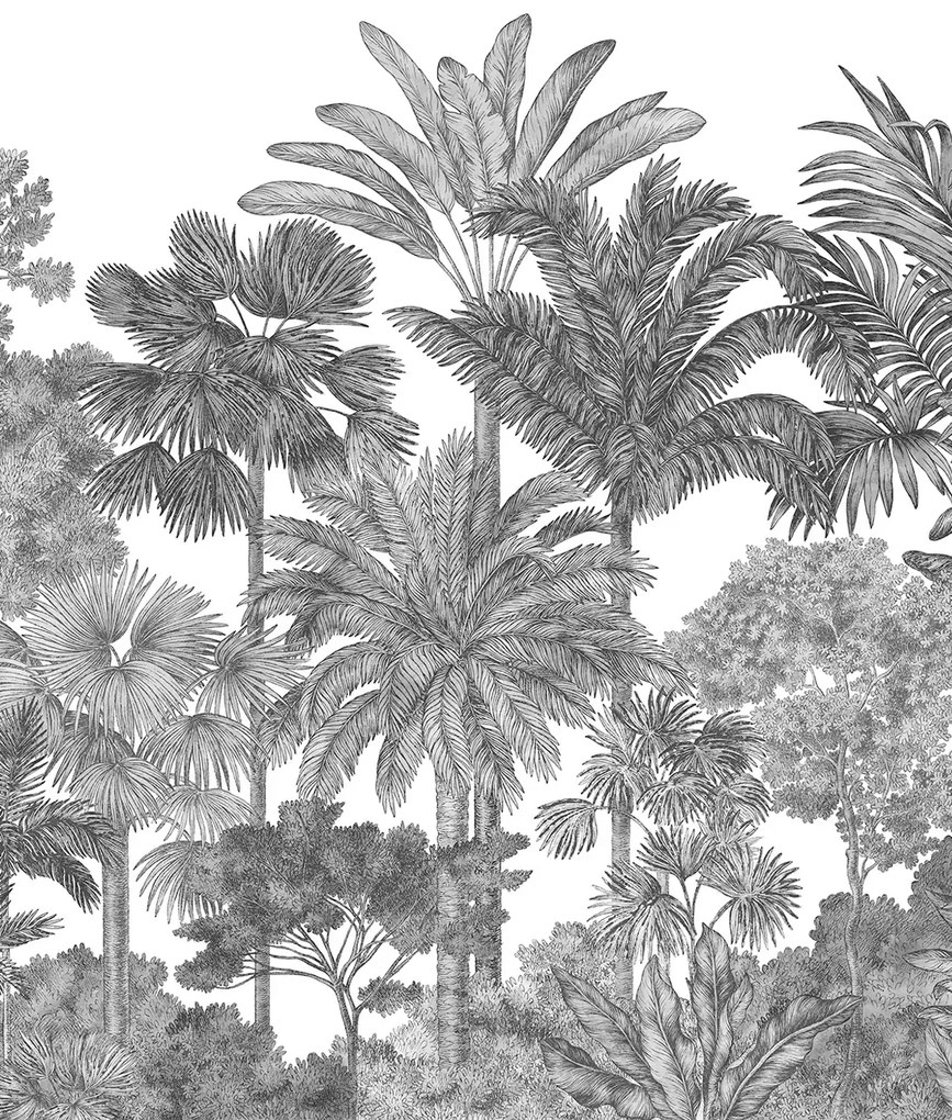 Rebel Walls Carta da parati panoramica Tropical Bellewood - Graphite