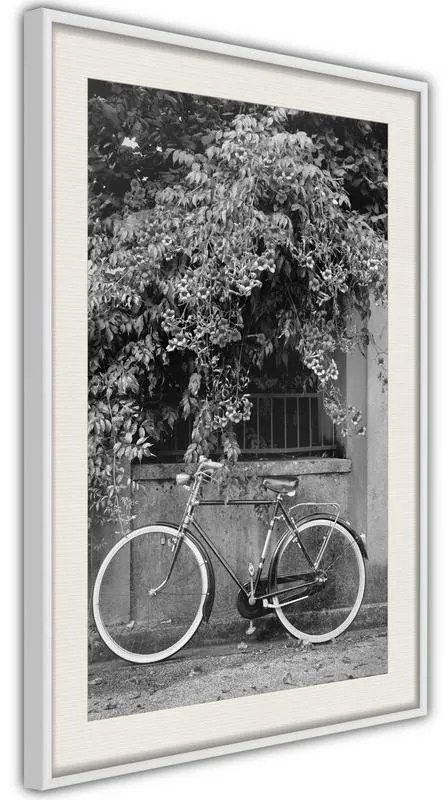 Poster  Bicycle with White Tires  Cornice Quadri Cornice nera, Larghezza x Altezza Home decor 30x45