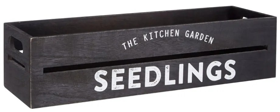 Petto - Premier Housewares