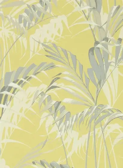 Tapete Palm House von Sanderson - Chartreuse/ Grey