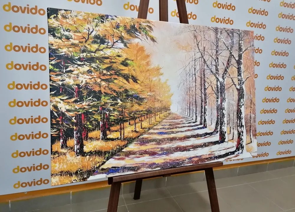 Quadro su tela – Viale alberato autunnale