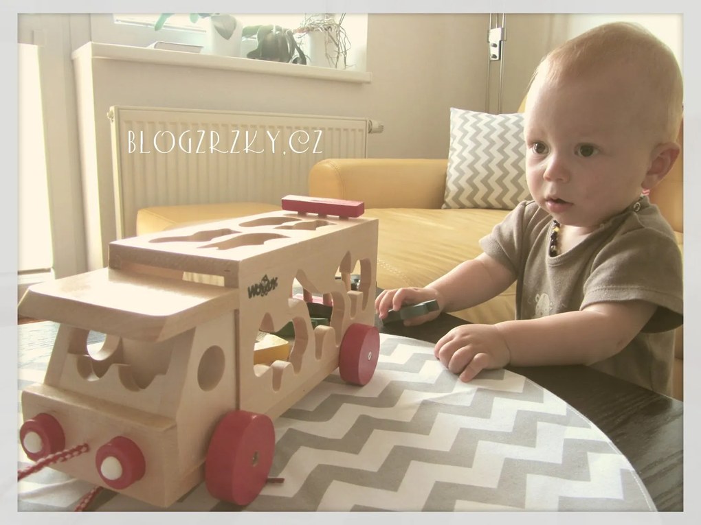 Camion con forme inseribili - animali