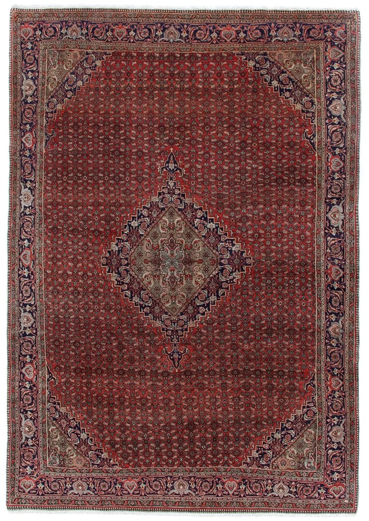 Bidjar Tappeto 230x330 (Iran) Annodato A Mano