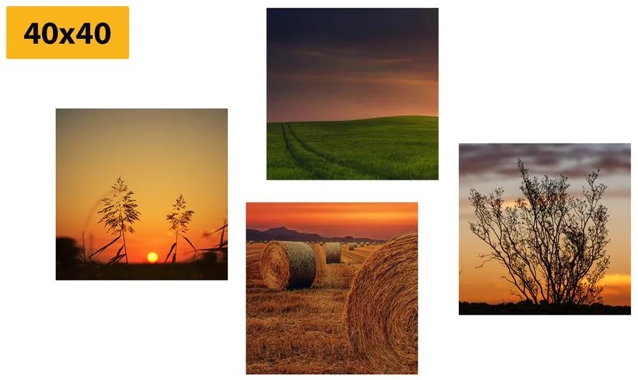 Set di quadri – Tramonto romantico sul prato