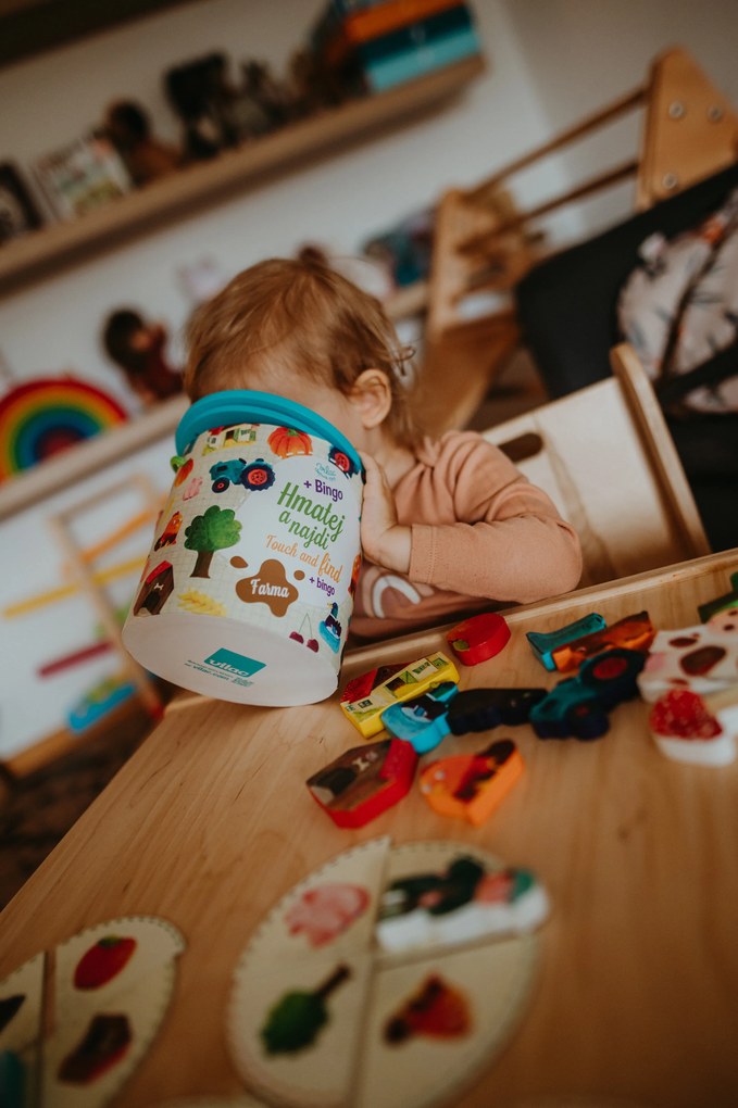 Vilac - Tocca e trova, gioco in legno - Fattoria