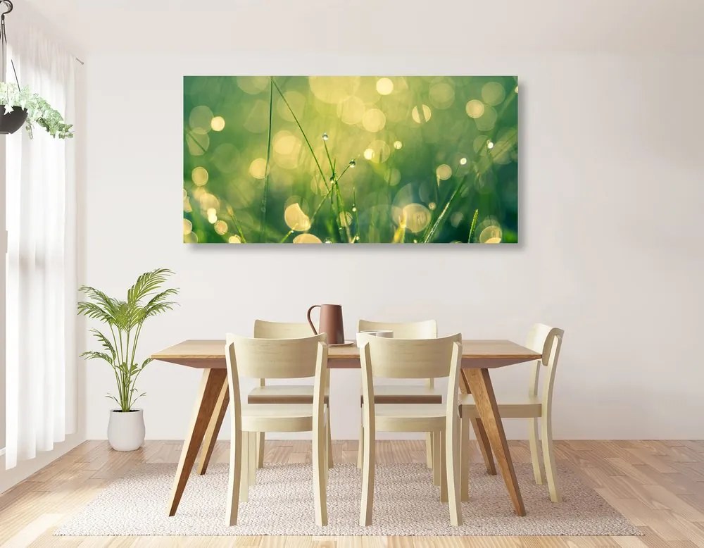 Quadro su tela – Rugiada mattutina