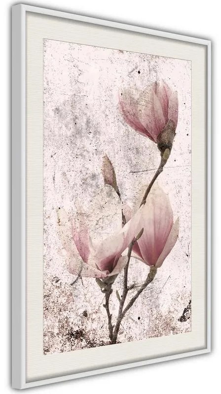 Poster  Queen of Spring Flowers II  Cornice Quadri Cornice nera con pass-partout, Larghezza x Altezza Home decor 20x30