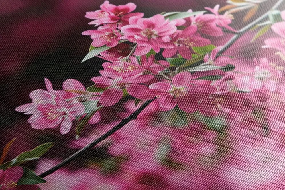 Stampa su tela – Dettaglio di fiori di ciliegio
