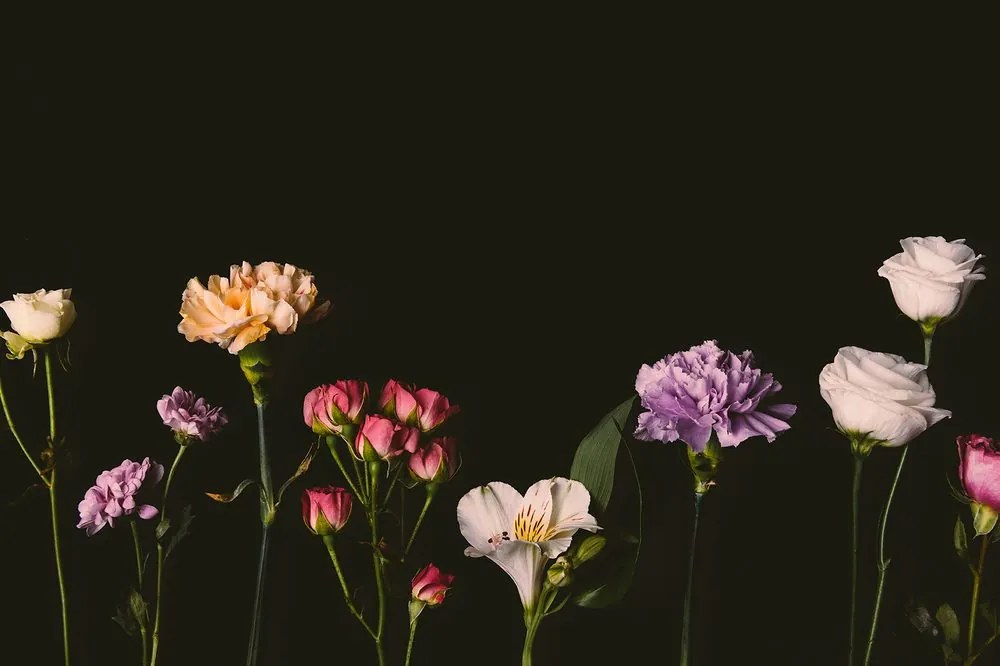 Carta da parati – Fiori Eleganti su Sfondo Scuro