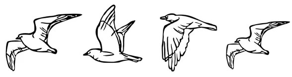 SET 4x Decorazione murale uccelli