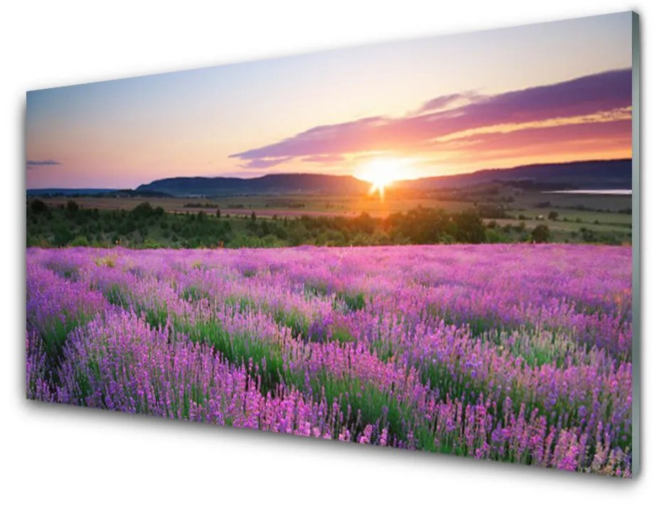 Quadro su vetro acrilico Campo di lavanda prato ovest 100x50 cm 2 appendini