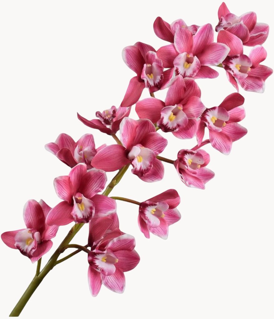 Set di 2 fiori artificiali Cymbidium