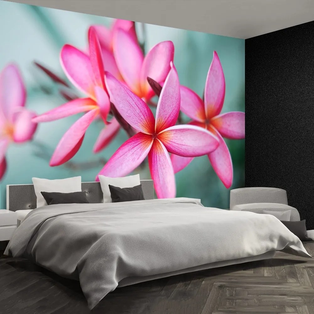 Carta da parati Plumeria rosa 104x70 cm