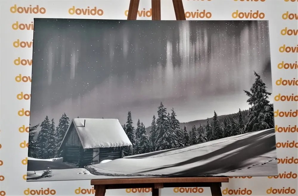 Stampa su tela – Paesaggio invernale fiabesco in bianco e nero
