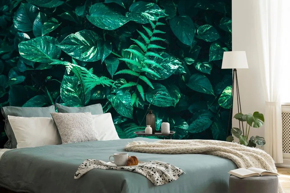 Carta da parati – Foglie tropicali fresche