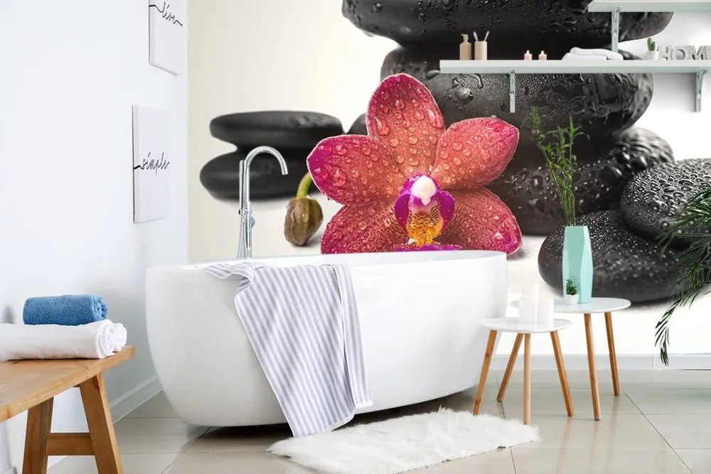 Carta da parati – Orchidea e pietre Zen su sfondo bianco