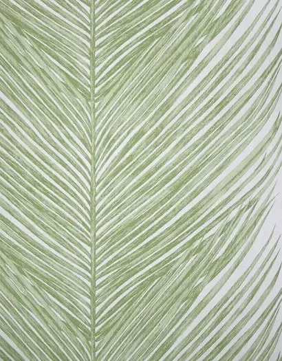 Nina Campbell Carta da parati Mey Fern - Green