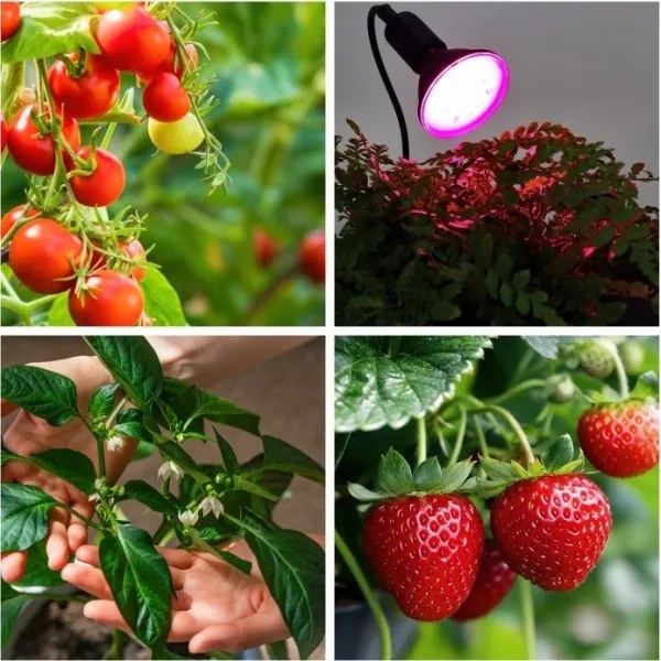 Lampada da tavolo flessibile con clip PLANTY 1xE27/30W/230V nero