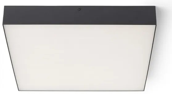 RED - Design Rendl - R13490 - Plafoniera LED LARISA LED/50W/230V nera