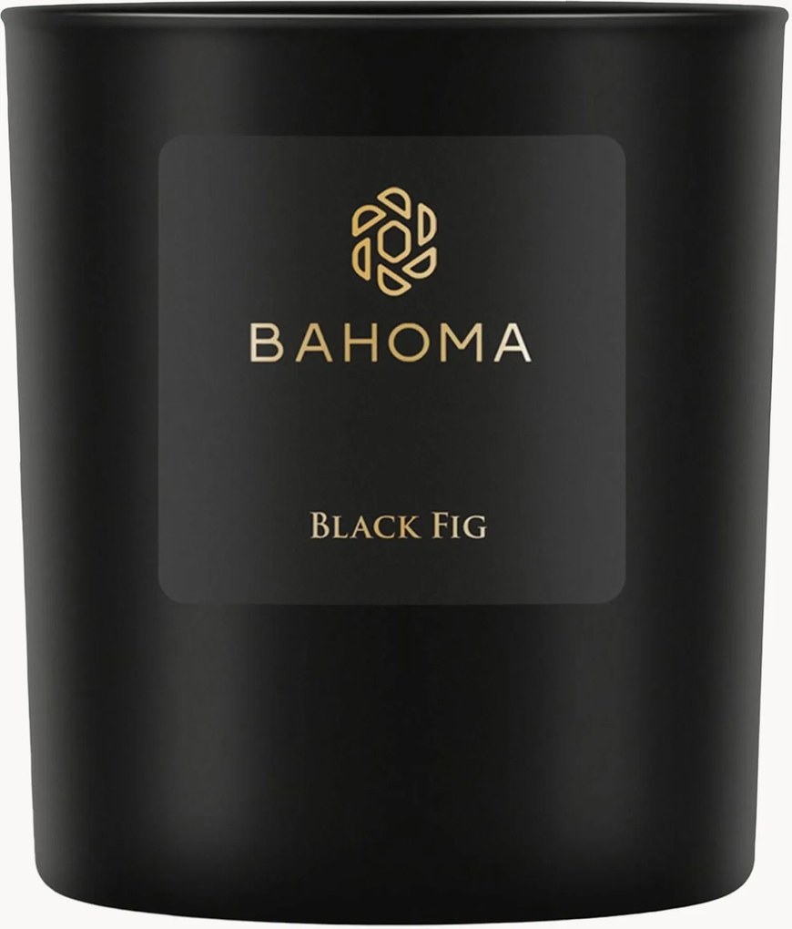 Candela profumata Obsidian (fico nero)