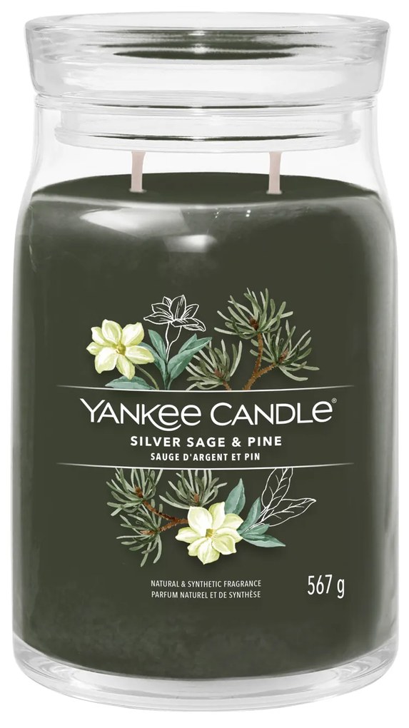 Silver Sage Pine, candela giara grande Yankee Candle