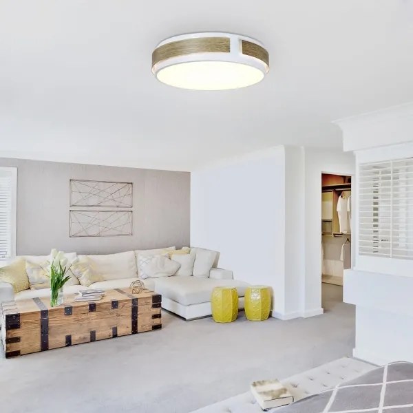 Rabalux 5646 - Plafoniera LED dimmerabile SALMA LED/24W/230V