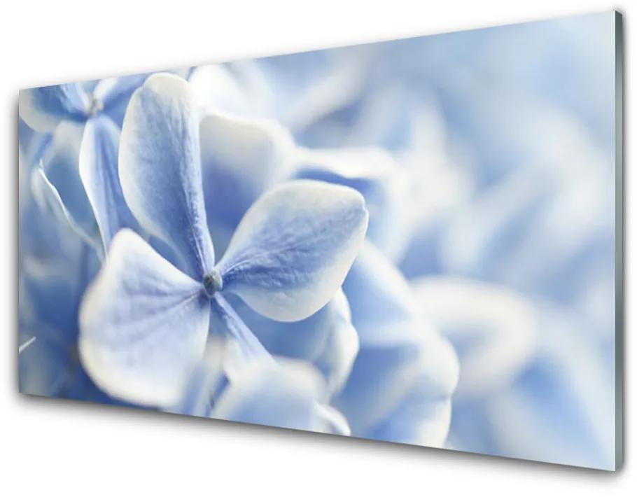 Quadro vetro acrilico Fiori, petali, natura 100x50 cm