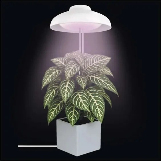 Lampada LED da interno per la coltivazione di piante GROW LED/5W/5V