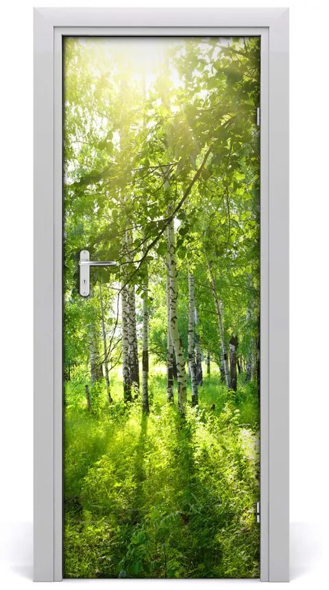 Adesivo per porta Foresta di betulla 85x205 cm