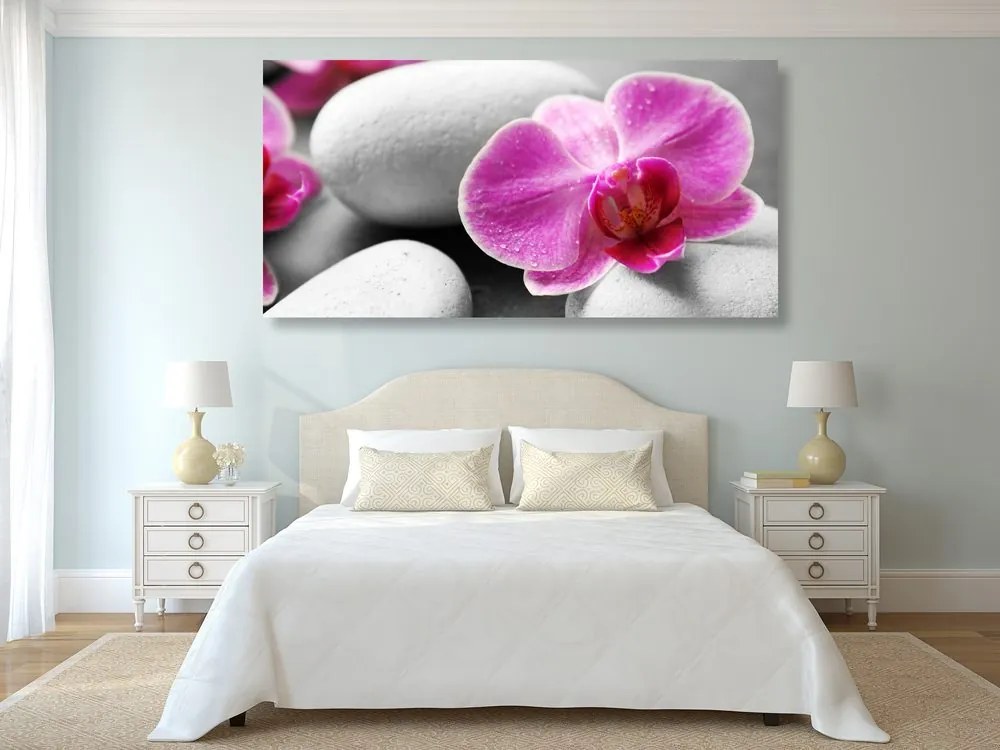 Quadro su tela – Fiori di orchidea su pietre bianche