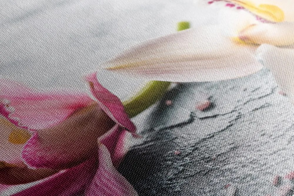 Quadro su tela – Fiori di orchidea