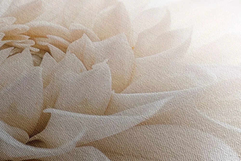 Stampa su tela – Petali bianchi