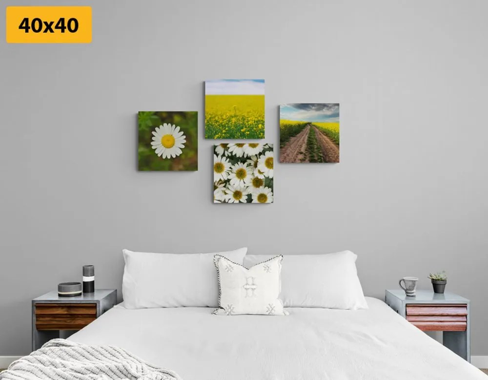 Set di quadri – Prato pieno di fiori