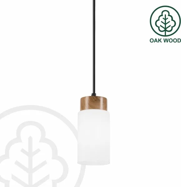 Lampada a sospensione con cavo MARKUS 1xE27/15W/230V nero/rovere