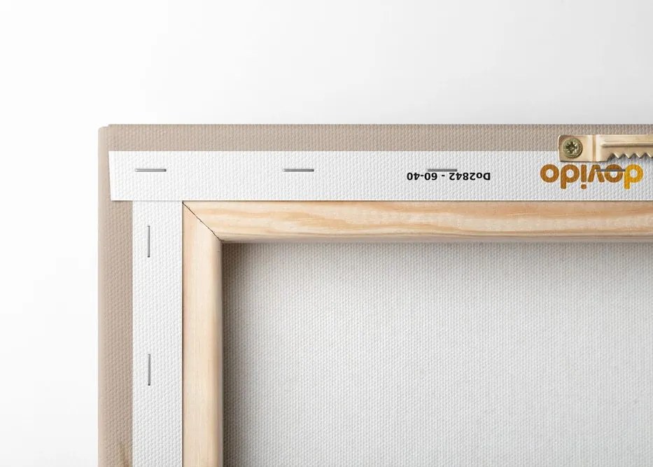 Quadro su tela – Cotone secco