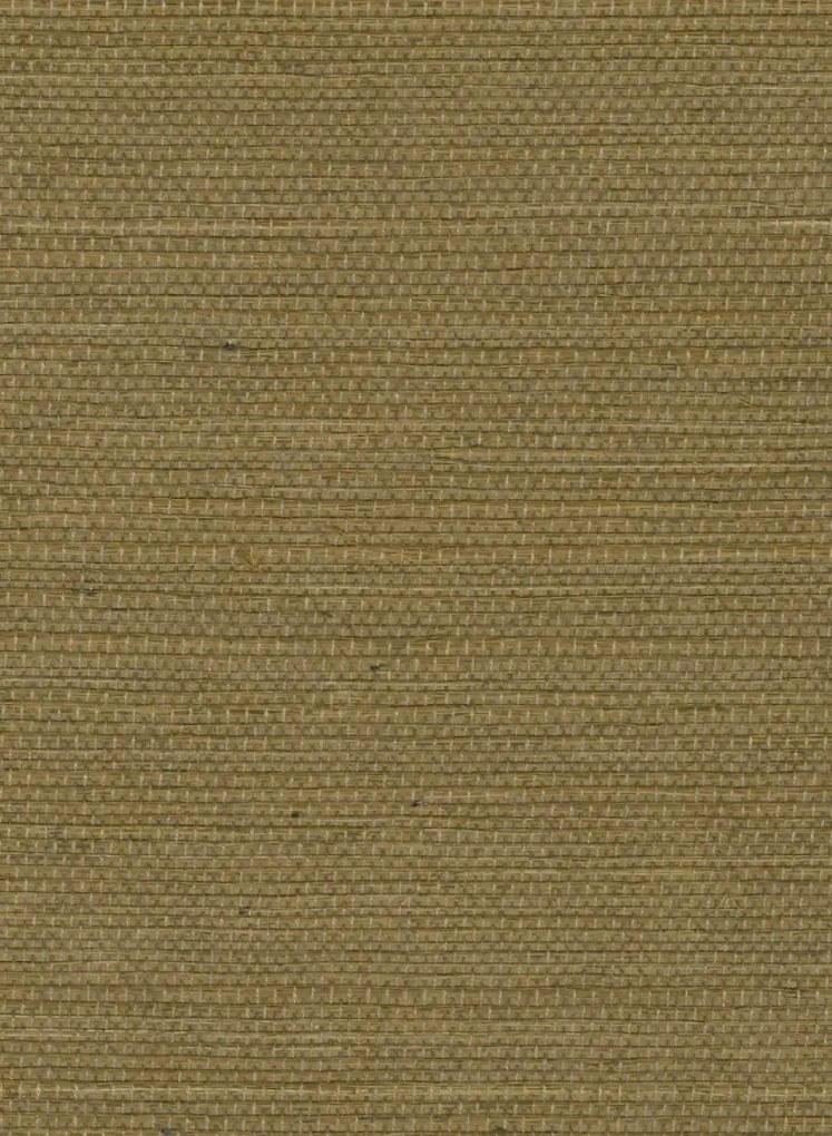 Élitis Tapete Sisal - RM 1069 66
