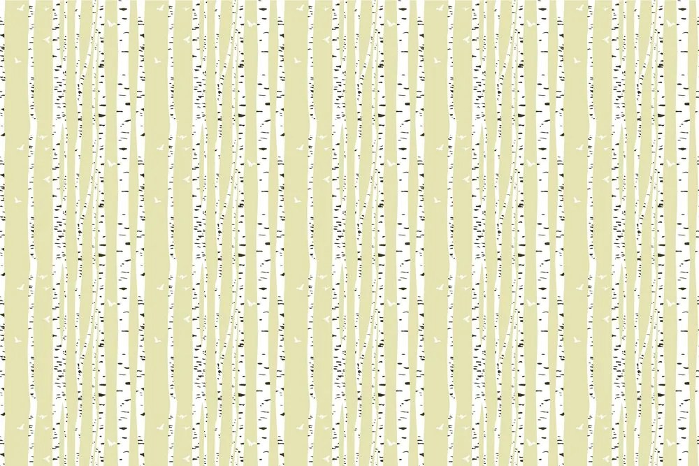 Carta da parati – Foresta di betulle