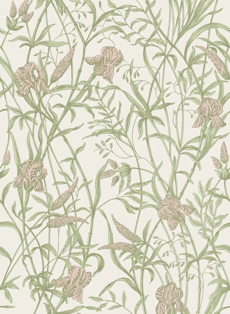 Cole & Son Carta da parati Iris - Soft Coral on Chalk