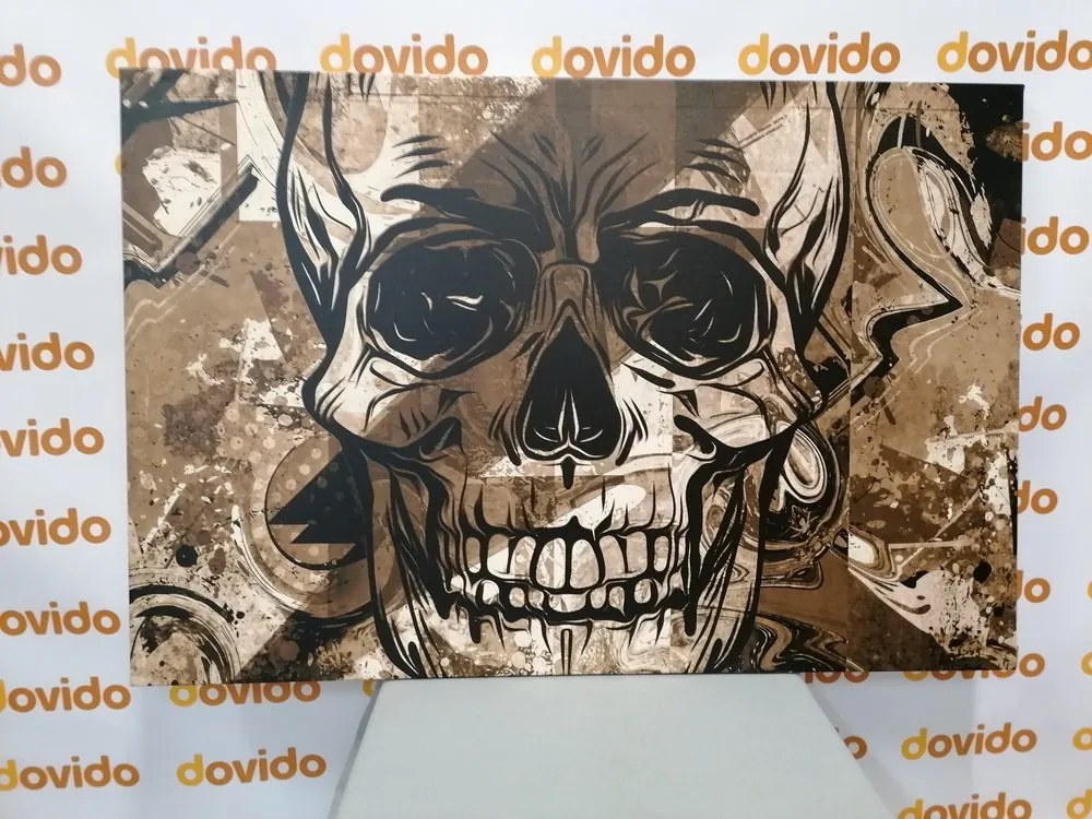 Quadro su tela – Teschio in seppia