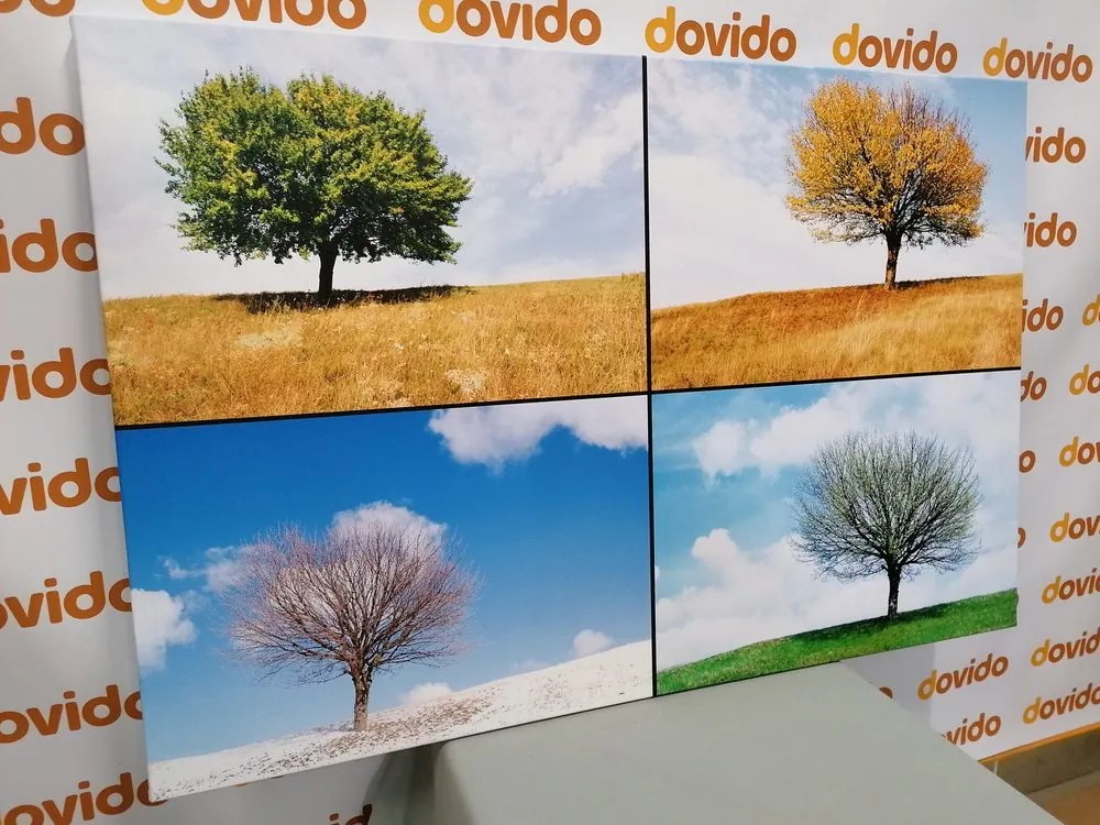 Stampa su tela – Albero nelle stagioni