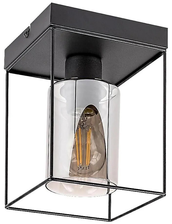 Rabalux 71031 - Plafoniera CHADWICK 1xE27/25W/230V