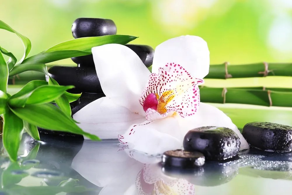 Quadro su tela – Orchidea giapponese