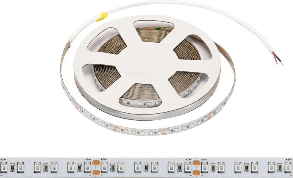 Striscia LED 24V 144W/m Luce Blu - IP54 - 5 metri