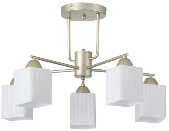 Lampadario a plafone 5xE27/60W/230V