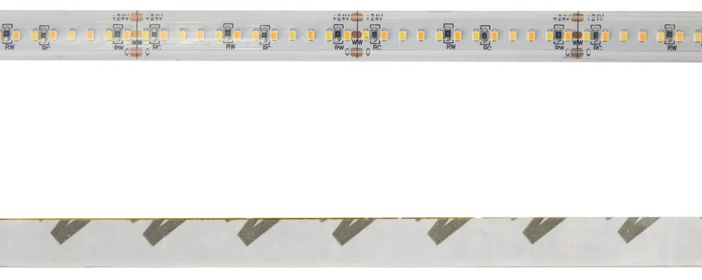 Striscia LED Professional CCT (Bianco Variabile) 2216/240 - IP67 - 18W/m - 5m - 24V Colore Bianco Variabile CCT